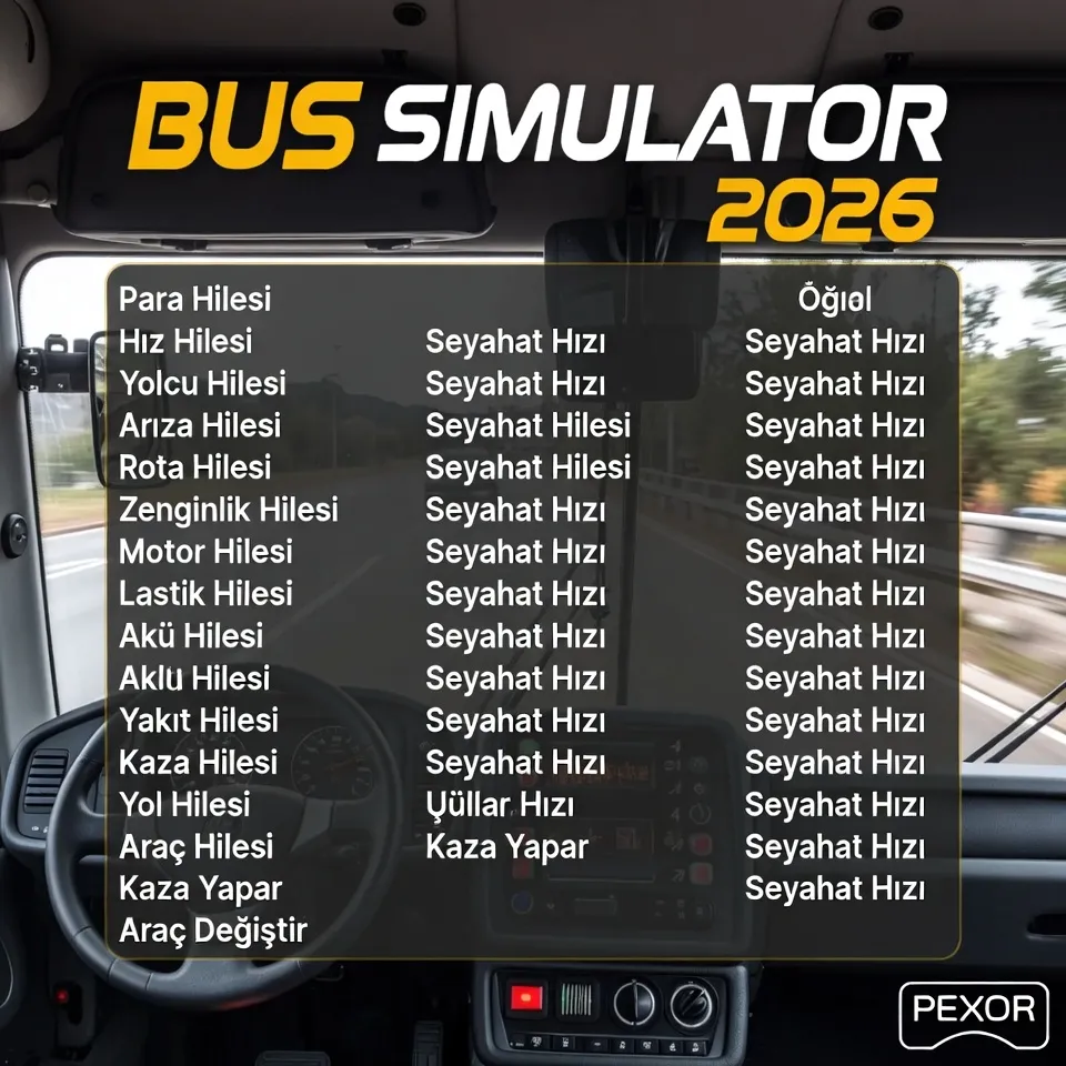 Bus Simulator Ultimate Skin